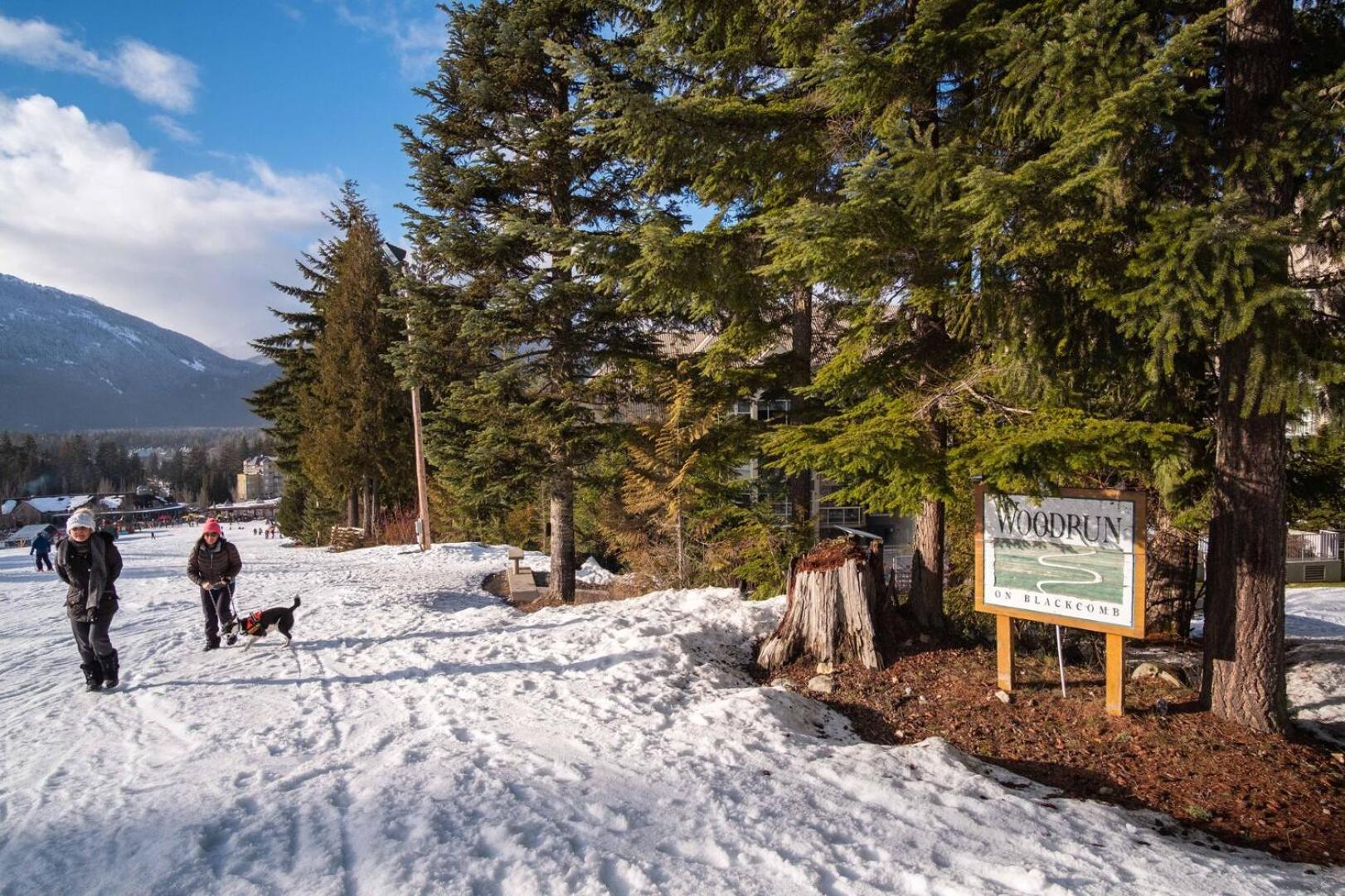 Woodrun By Outpost Whistlerヴィラ エクステリア 写真